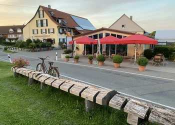 Rundfahrt mit dem Beerenzügle / Markdorf