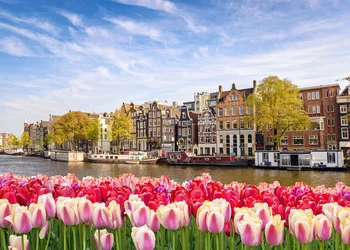 Tulpenkreuzfahrt - Ein Reisetraum in voller Blüte