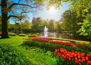 Zum Tulpenmeer in den Frühlingsgarten
