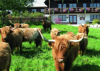 Zu Gast im Ospelehof 
