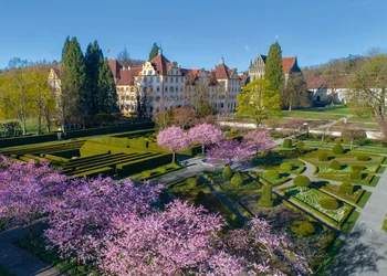 Salemer Weingeschichten 