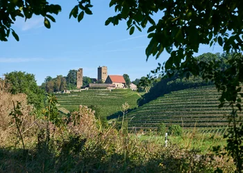 Zum fröhlichen Weinberg
