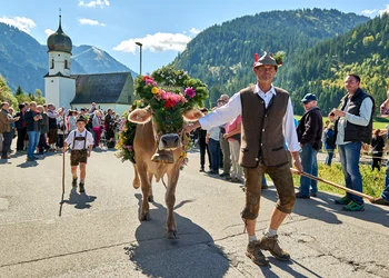 Almabtrieb im Tannheimer Tal