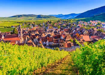 Perle des Elsass - Riquewihr